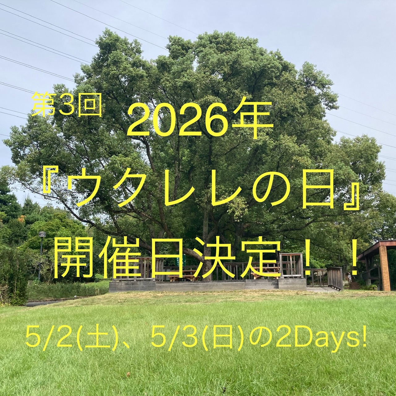 第3回『ウクレレの日』について