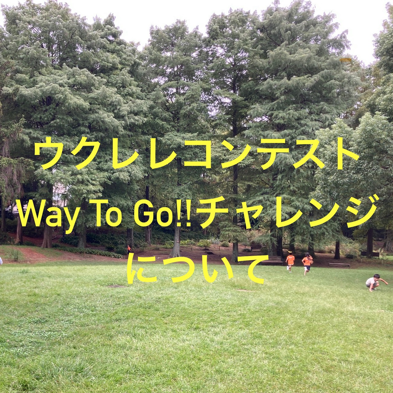 第２回「Way To Go!!チャレンジ」について